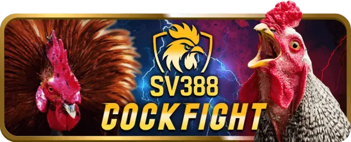 Hướng dẫn và mẹo chơi hiệu quả tại 89bet1